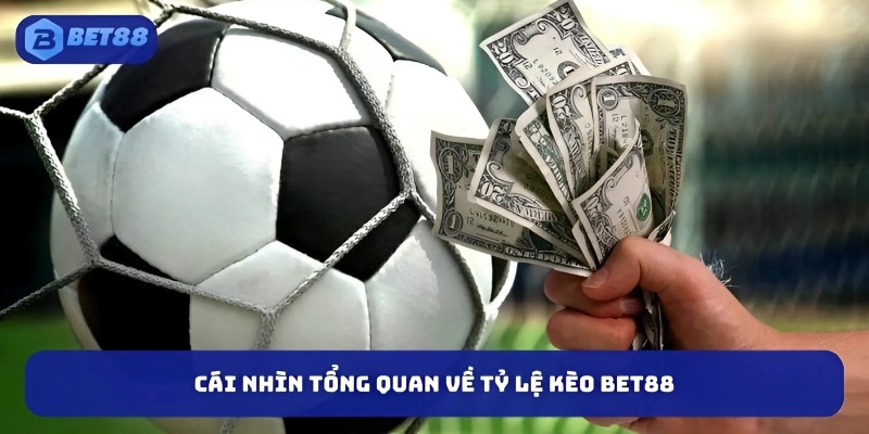 Cái nhìn tổng quan về tỷ lệ kèo Bet88