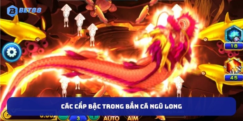 Các cấp bậc trong bắn cá ngũ long